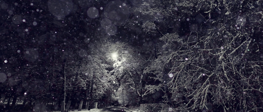 Untitled-design-9_852x365_acf_cropped